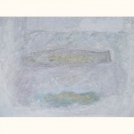 witte-vis